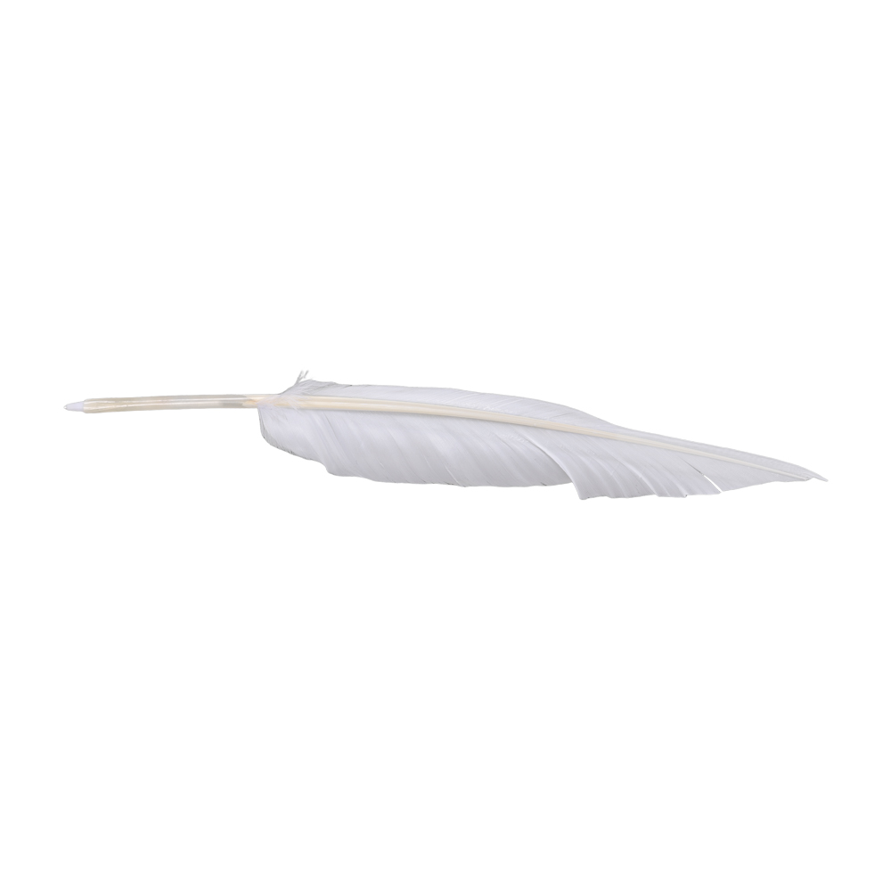 Anime Sousou of Frieren Cospla - Frieren Cosplay Prop 评论和价格