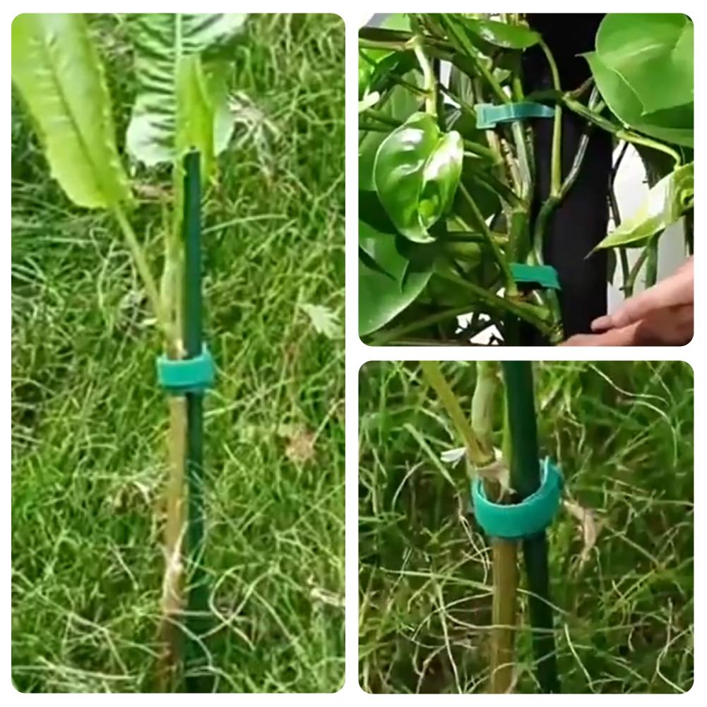 100pcs Reusable Adjustable Non - Velcro Hook Loop 评论和价格