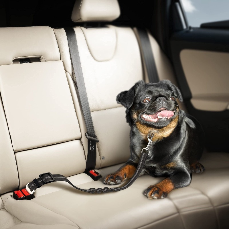Retractable Dog Car Harness Se - Snap Fastener Set 评论和价格