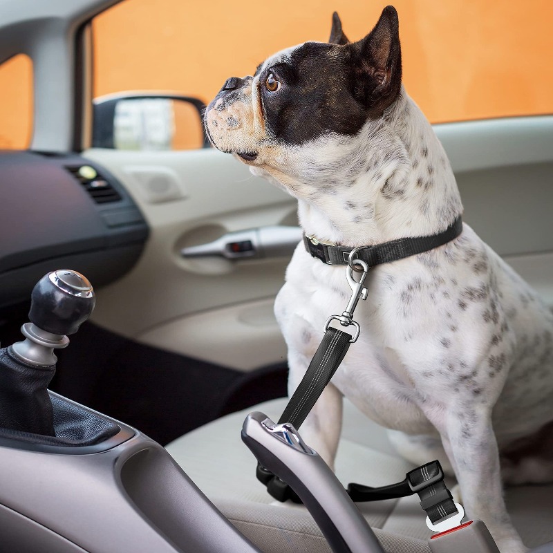 Retractable Dog Car Harness Se - Snap Fastener Set 评论和价格